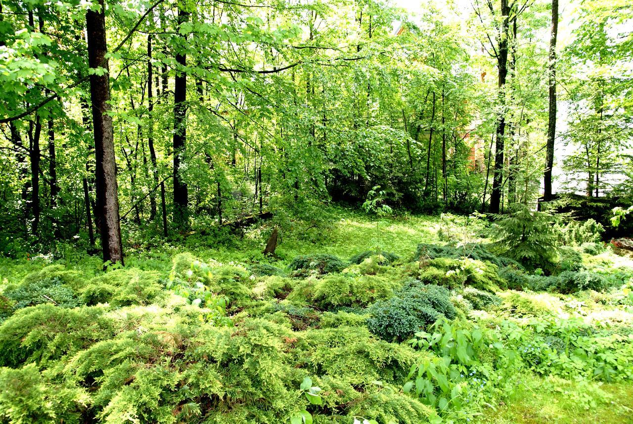 Domek Drewniany Tetmajera Centrum Zakopane Bagian luar foto