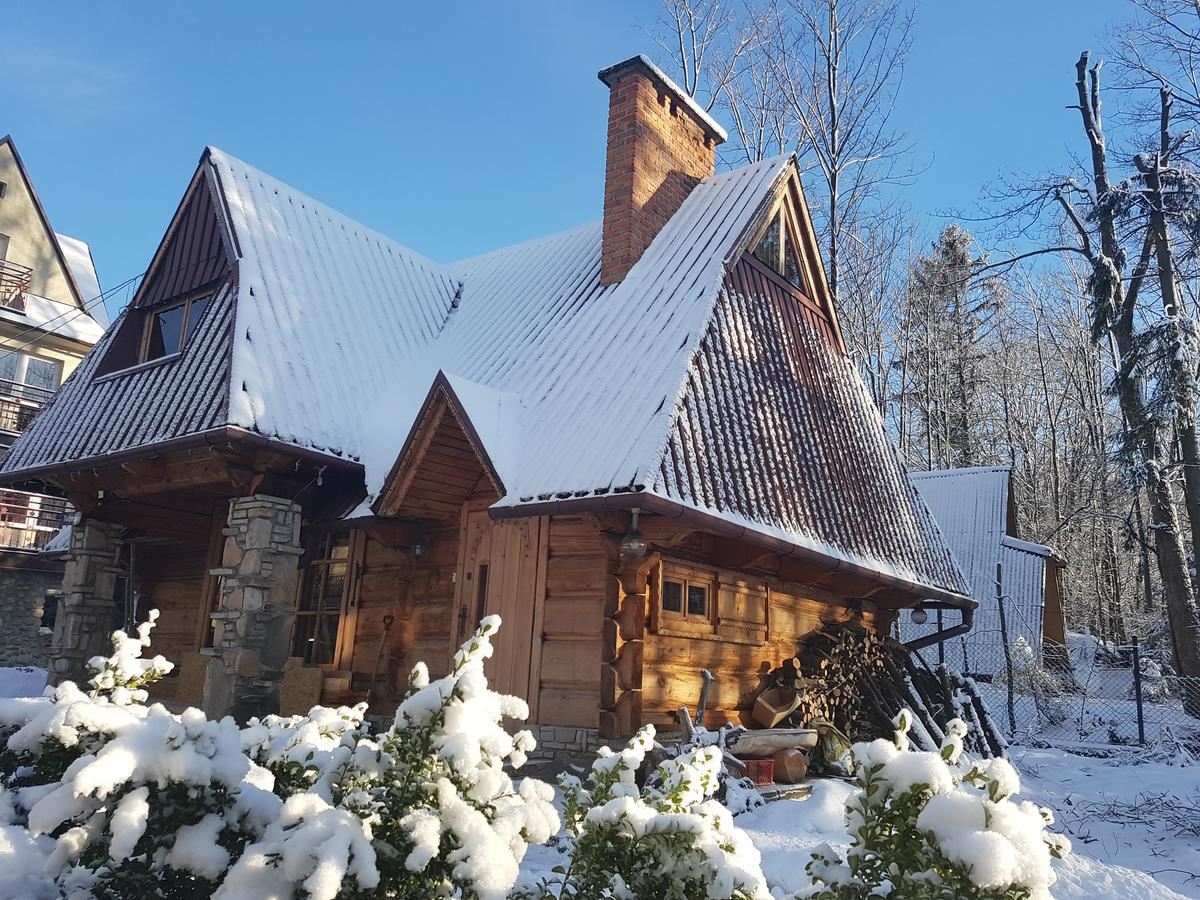 Domek Drewniany Tetmajera Centrum Zakopane Bagian luar foto