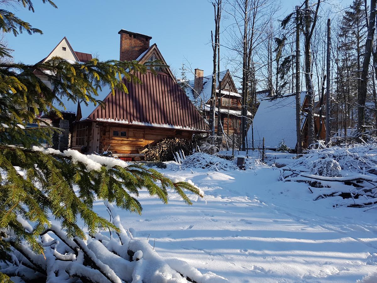 Domek Drewniany Tetmajera Centrum Zakopane Bagian luar foto